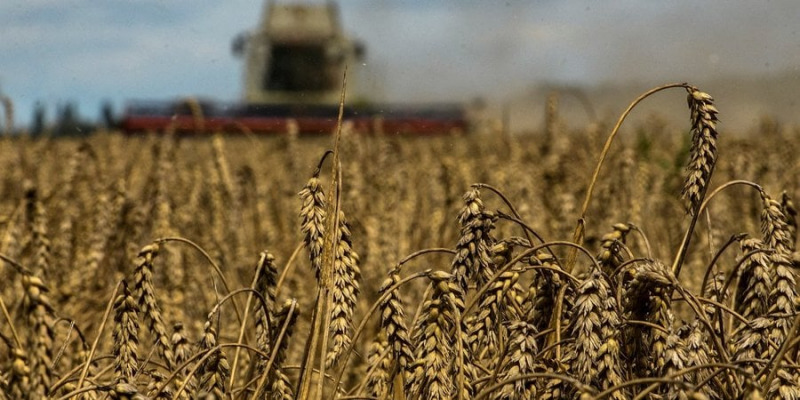 П’яте колесо до воза. Росія не потрібна для постачання українського зерна на міжнародні ринки